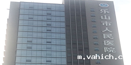 乐山人民医院（三甲）机房监控项目