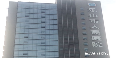 乐山人民医院中心机房以及灾备中心机房监控系统